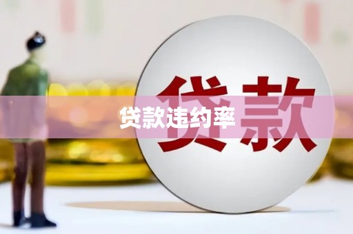 新河贷款违约率