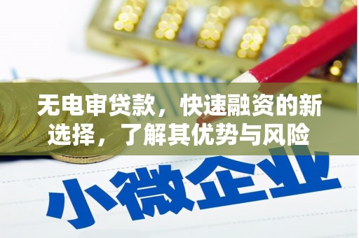 新河无电审贷款，快速融资的新选择，了解其优势与风险