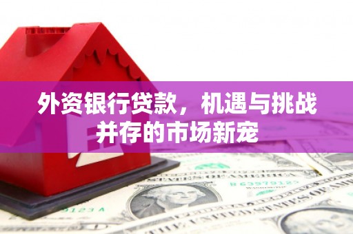 新河外资银行贷款，机遇与挑战并存的市场新宠