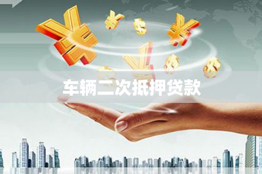 新河车辆二次抵押贷款