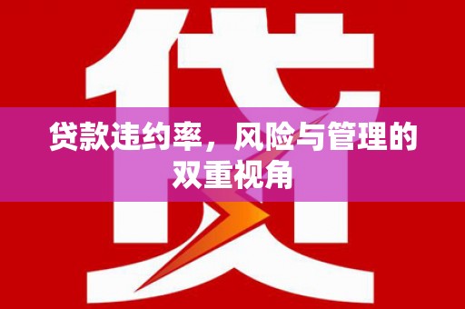 新河贷款违约率，风险与管理的双重视角