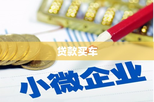 新河贷款买车