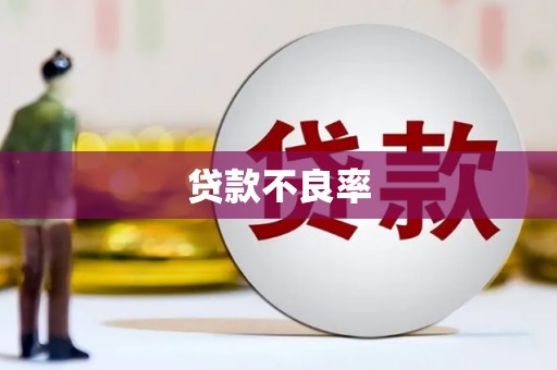 新河贷款不良率