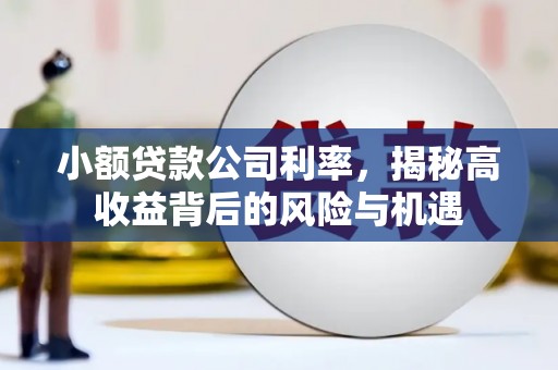 新河小额贷款公司利率，揭秘高收益背后的风险与机遇