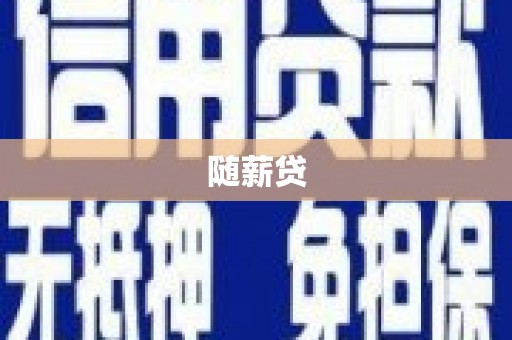 新河随薪贷