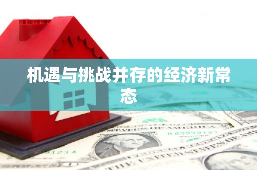 新河机遇与挑战并存的经济新常态