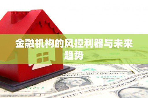 新河金融机构的风控利器与未来趋势