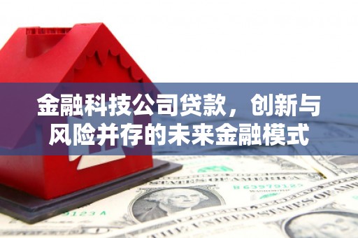 新河金融科技公司贷款，创新与风险并存的未来金融模式