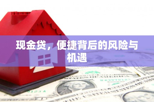 新河现金贷，便捷背后的风险与机遇