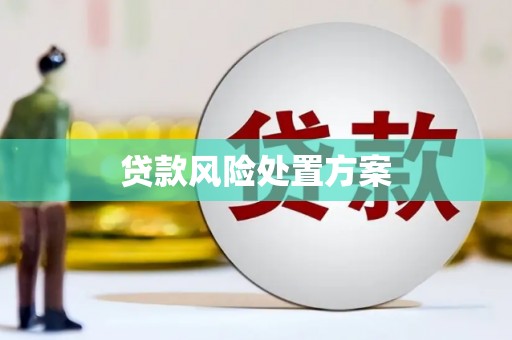 新河贷款风险处置方案