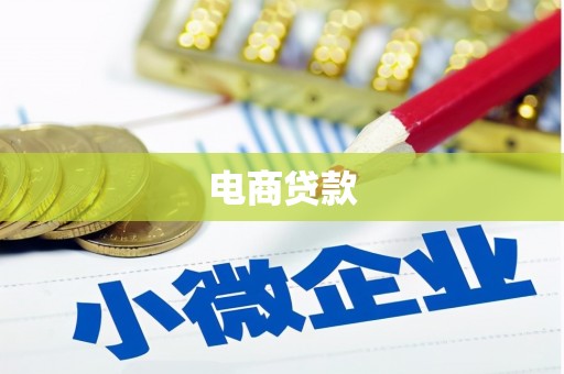 新河电商贷款