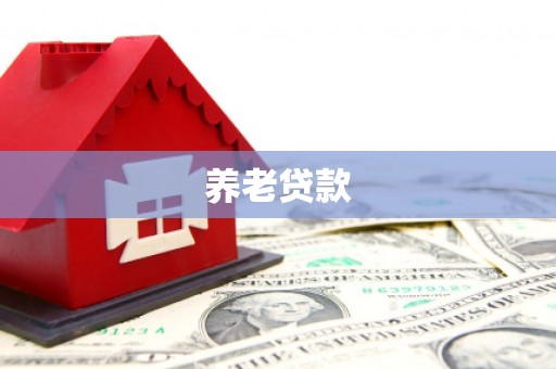 新河养老贷款