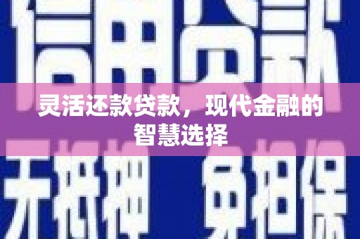 新河灵活还款贷款，现代金融的智慧选择