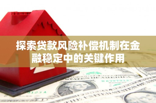 新河探索贷款风险补偿机制在金融稳定中的关键作用