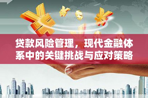 新河贷款风险管理，现代金融体系中的关键挑战与应对策略