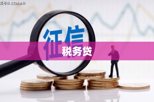 新河税务贷