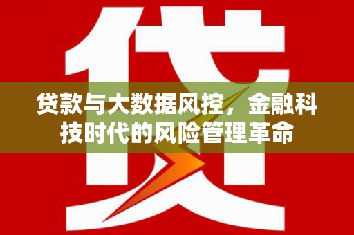 新河贷款与大数据风控，金融科技时代的风险管理革命