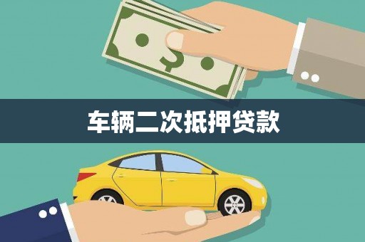 新河车辆二次抵押贷款