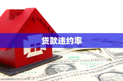 新河贷款违约率