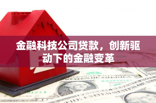 新河金融科技公司贷款，创新驱动下的金融变革