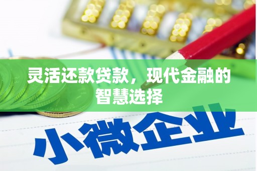 新河灵活还款贷款，现代金融的智慧选择