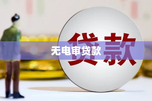 新河无电审贷款