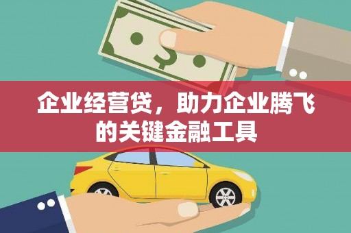 新河企业经营贷，助力企业腾飞的关键金融工具
