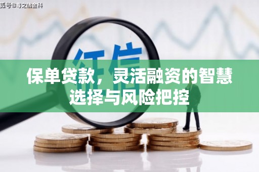 新河保单贷款，灵活融资的智慧选择与风险把控