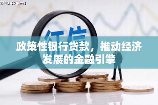 新河政策性银行贷款，推动经济发展的金融引擎