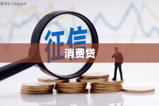 新河消费贷