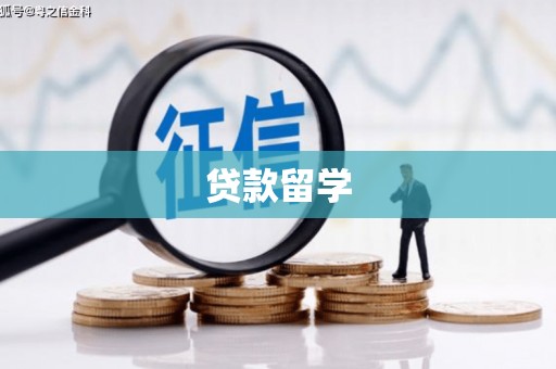 新河贷款留学