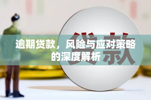 新河逾期贷款，风险与应对策略的深度解析