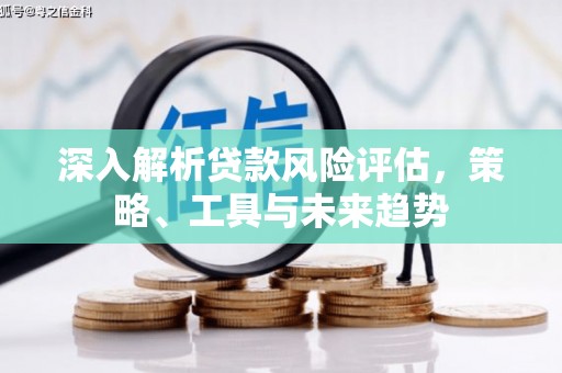 新河深入解析贷款风险评估，策略、工具与未来趋势
