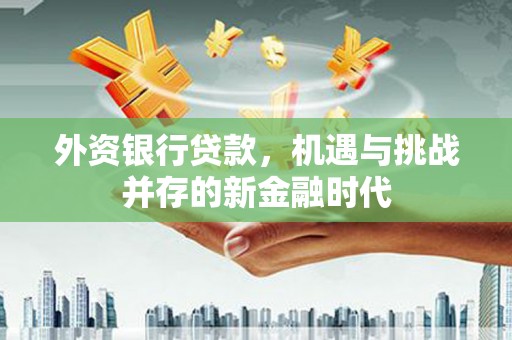新河外资银行贷款，机遇与挑战并存的新金融时代