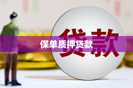 新河保单质押贷款