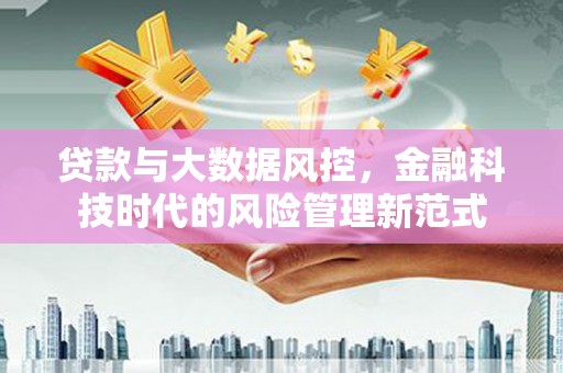 新河贷款与大数据风控，金融科技时代的风险管理新范式