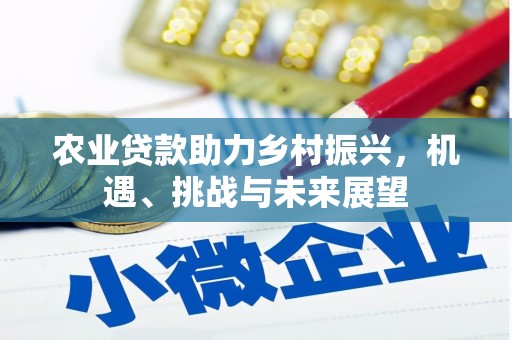 新河农业贷款助力乡村振兴，机遇、挑战与未来展望