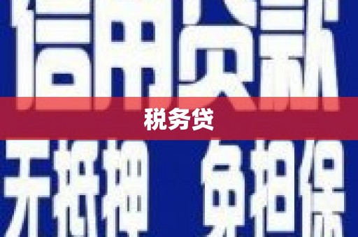 新河税务贷