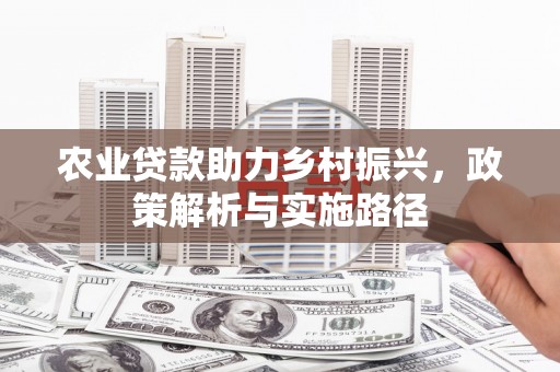 新河农业贷款助力乡村振兴，政策解析与实施路径