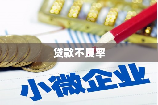新河贷款不良率