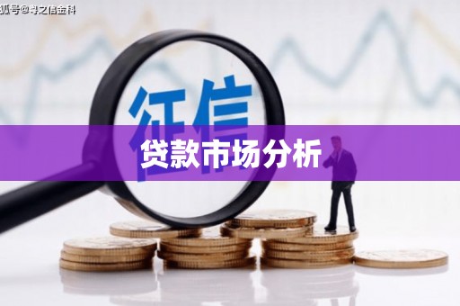 新河贷款市场分析