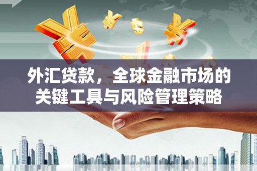 新河外汇贷款，全球金融市场的关键工具与风险管理策略
