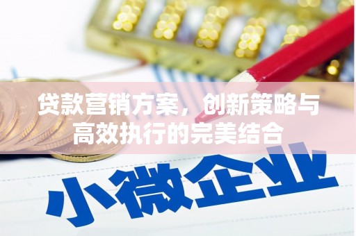 新河贷款营销方案，创新策略与高效执行的完美结合