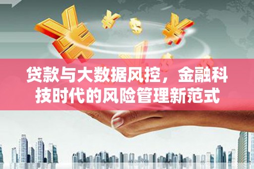 新河贷款与大数据风控，金融科技时代的风险管理新范式