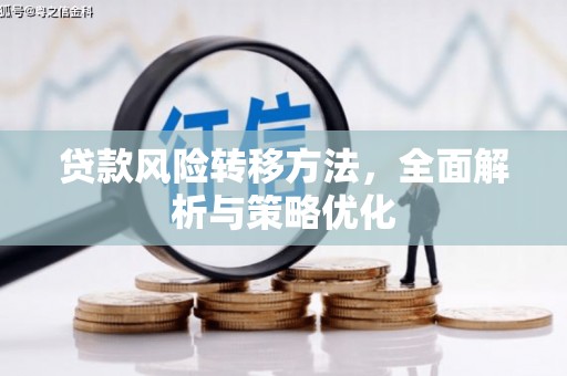 新河贷款风险转移方法，全面解析与策略优化