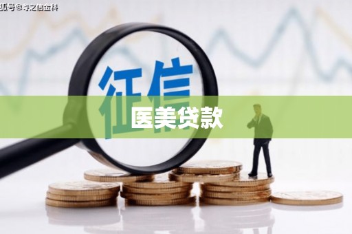 新河医美贷款
