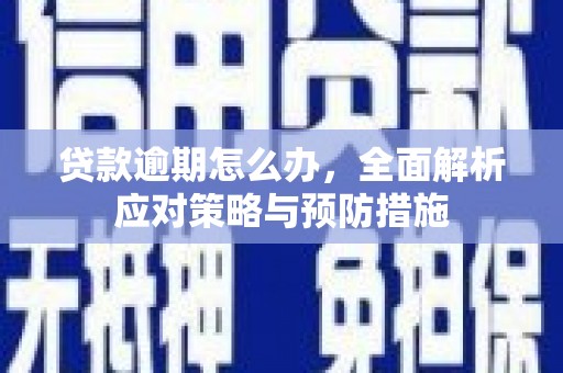 新河贷款逾期怎么办，全面解析应对策略与预防措施