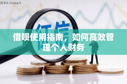 新河借呗使用指南，如何高效管理个人财务