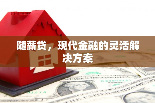 新河随薪贷，现代金融的灵活解决方案