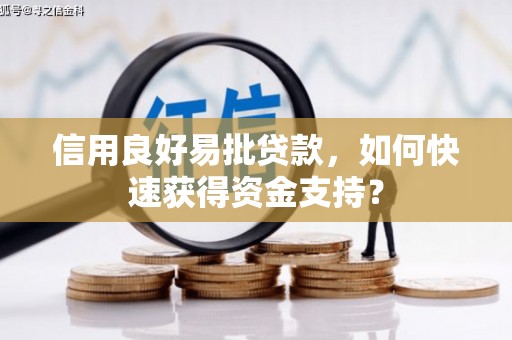 新河信用良好易批贷款，如何快速获得资金支持？